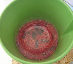 I've just pounded the sauerkraut, and put a glass bowl on top of it, which fits the bucket perfectly - David